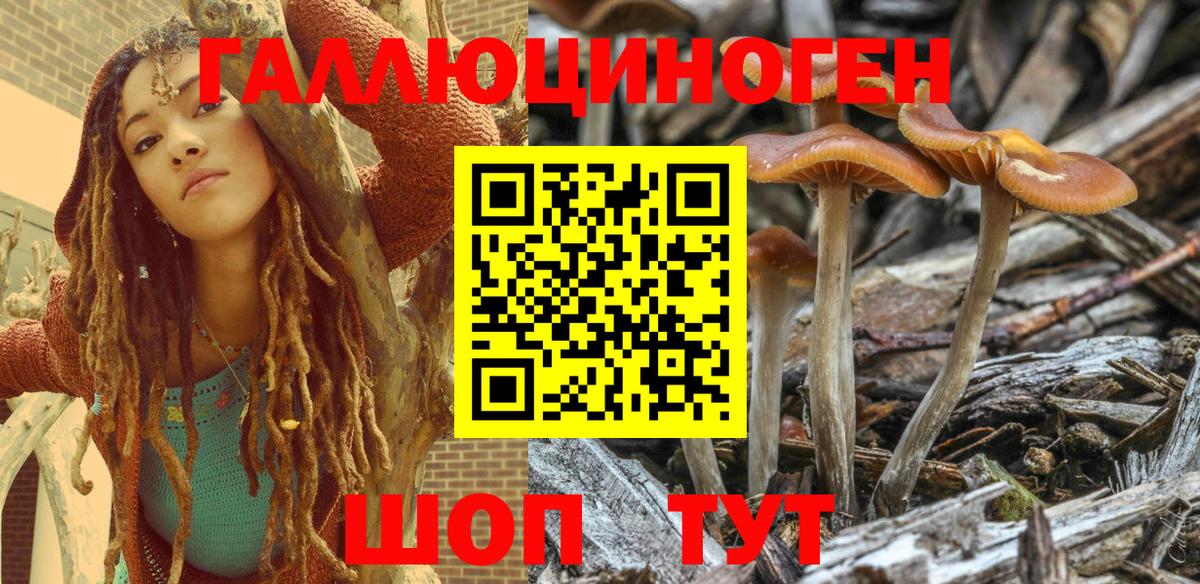 Псилоцибиновые грибы Psilocybe  Галлюциногенные грибы Cubensis  Вход с VPN  Свободный 