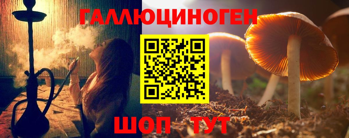 Псилоцибиновые грибы Magic Shrooms Свободный