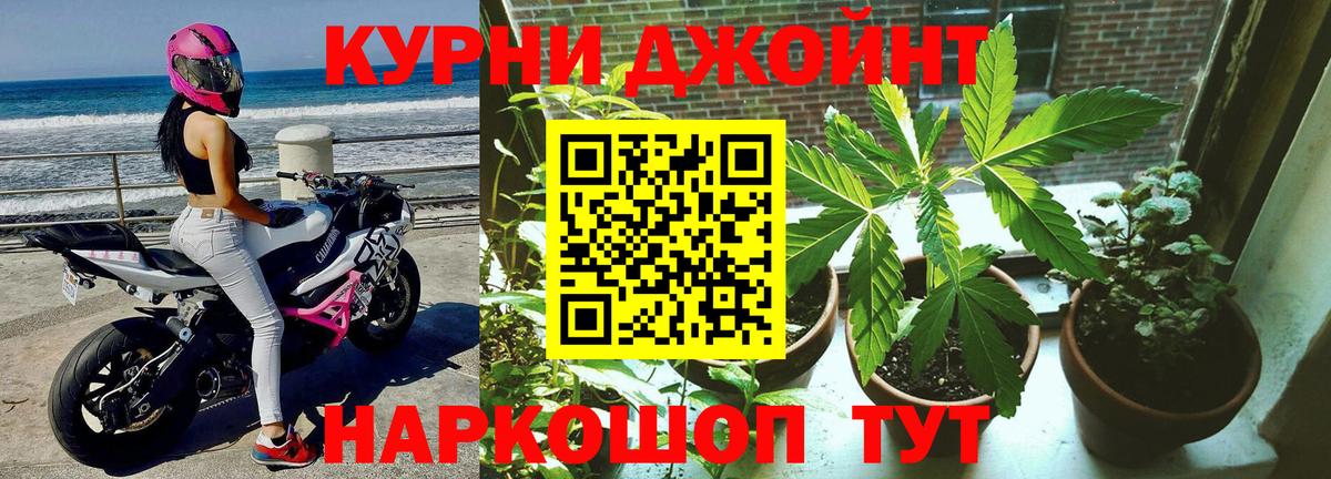 Бошки Шишки тримм  Вход с VPN  Марихуана THC 21%  Конопля THC 21%  Свободный  Конопля сатива 